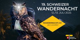 FÜR DIE NACHTEULEN UNTER DEN WANDERVÖGELN