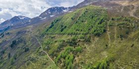 50 Jahre Langzeit-Forschungsfläche Stillberg