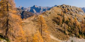 Goldener Herbst mit dem SAC-Tourenportal