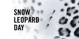 Höhemeter sammeln - 8. März