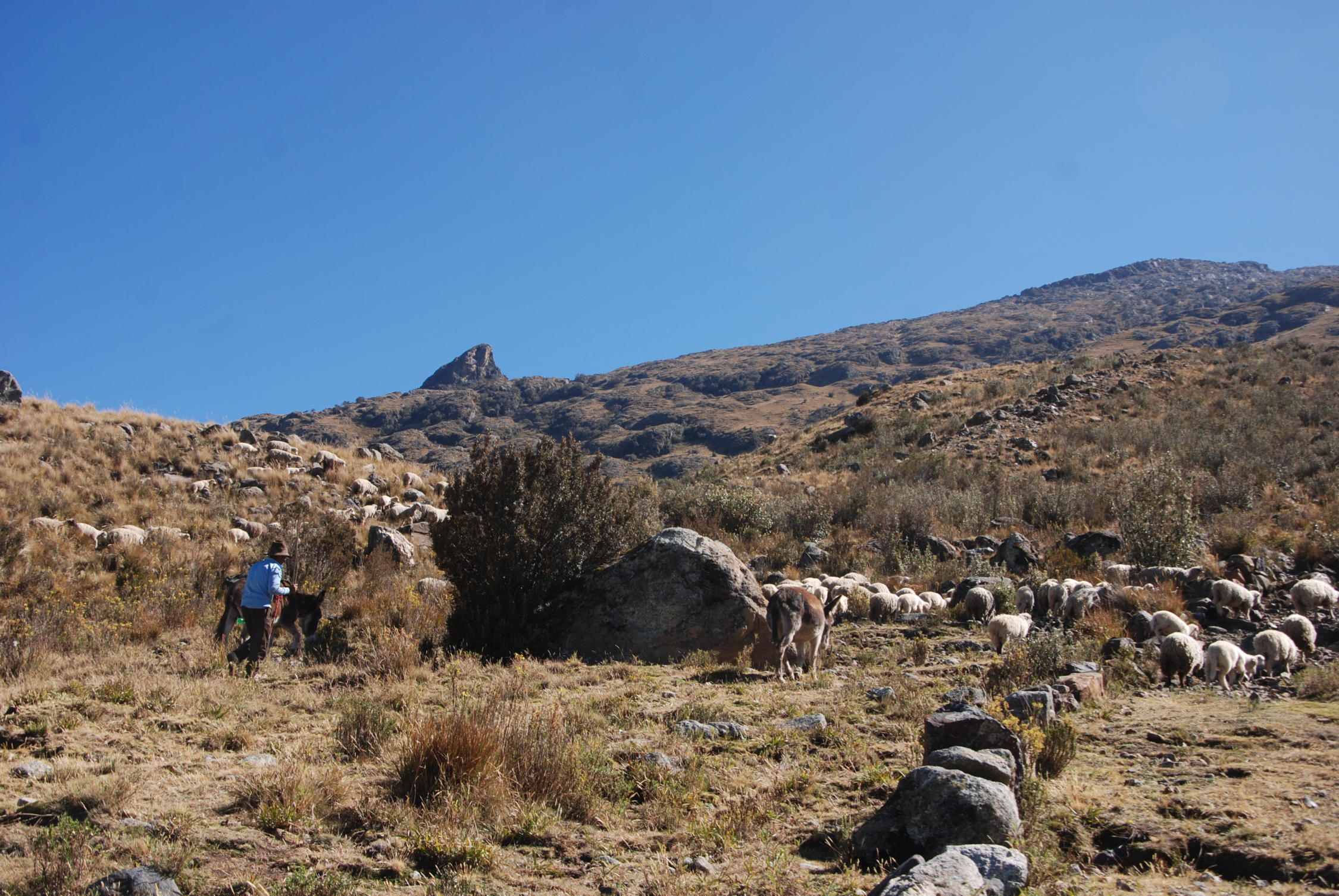Laguna Aguak (4560m) (4560m) Aktuelle Verhältnisse vom 23.07.2014 auf