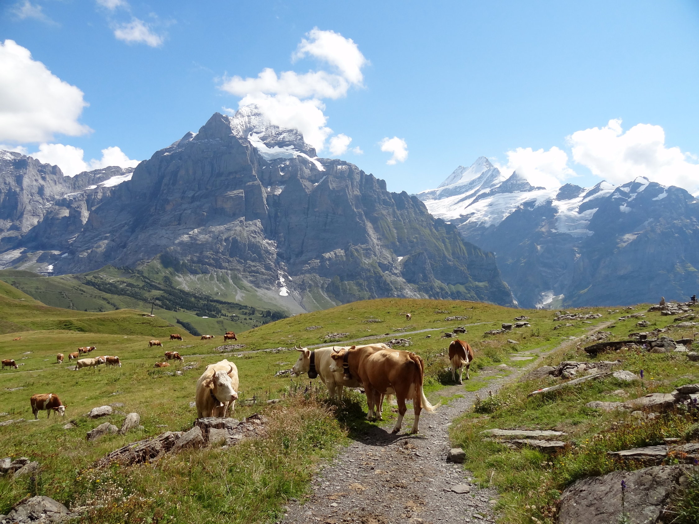 Schwarzhorn - Klettersteig (2928m) (2928m): Aktuelle Verhältnisse vom