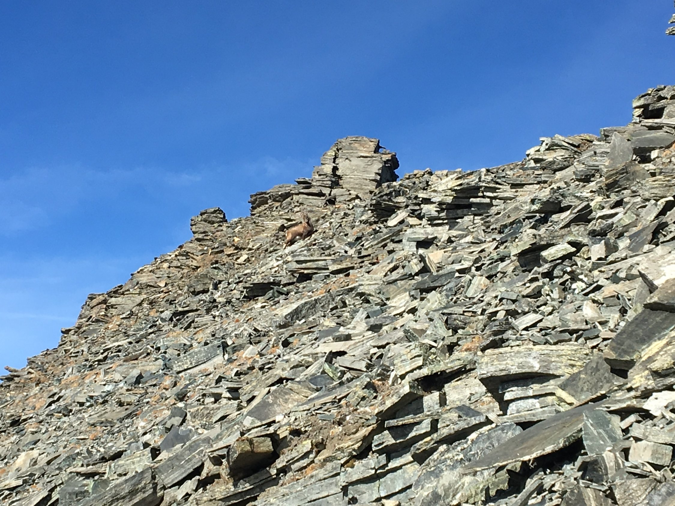 Helsenhorn (3272m) Aktuelle Verhältnisse vom 01.11.2017 auf der Route