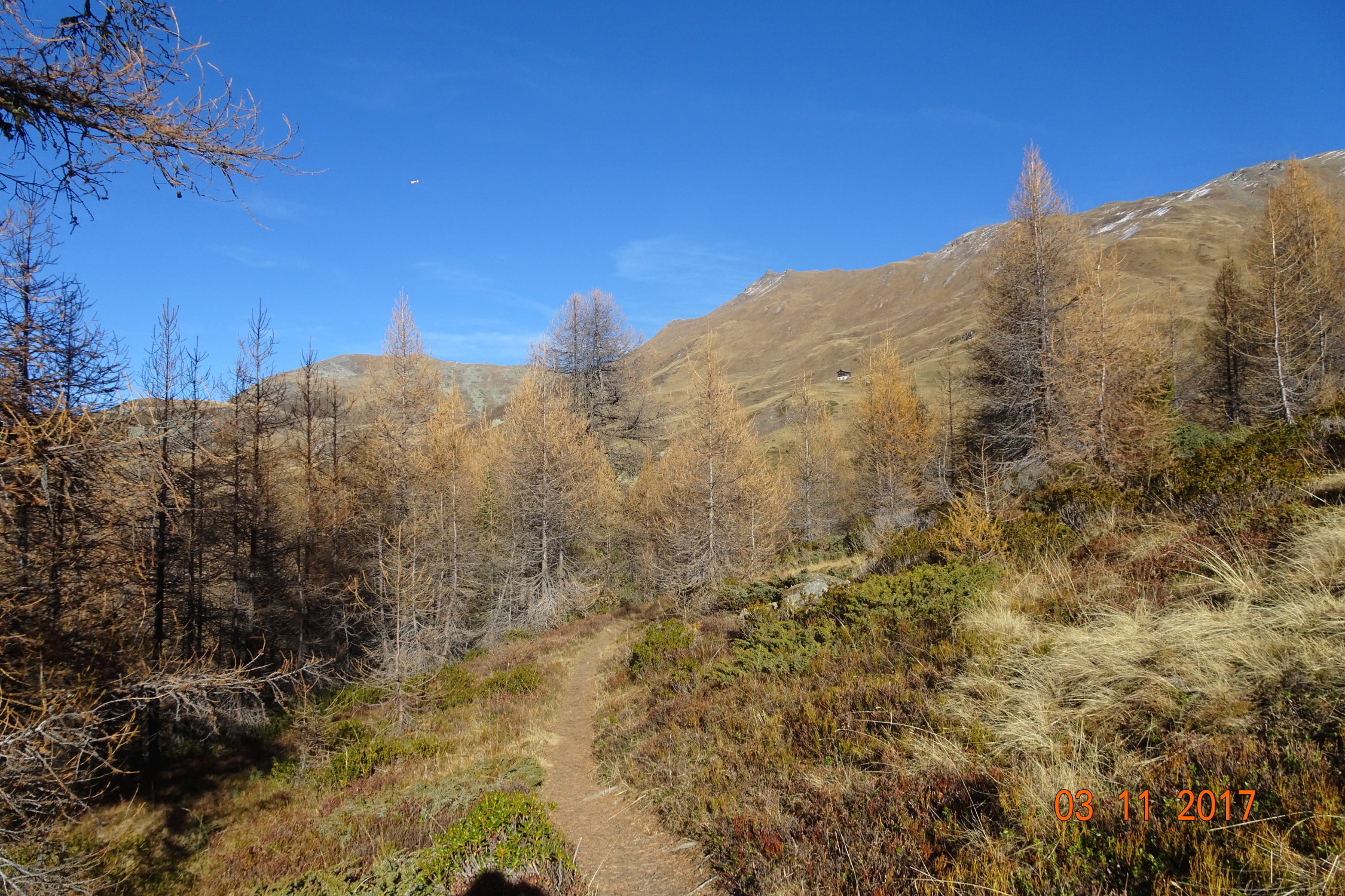 Mont Noble (2654m) (2654m) Aktuelle Verhältnisse vom 03.11.2017 auf