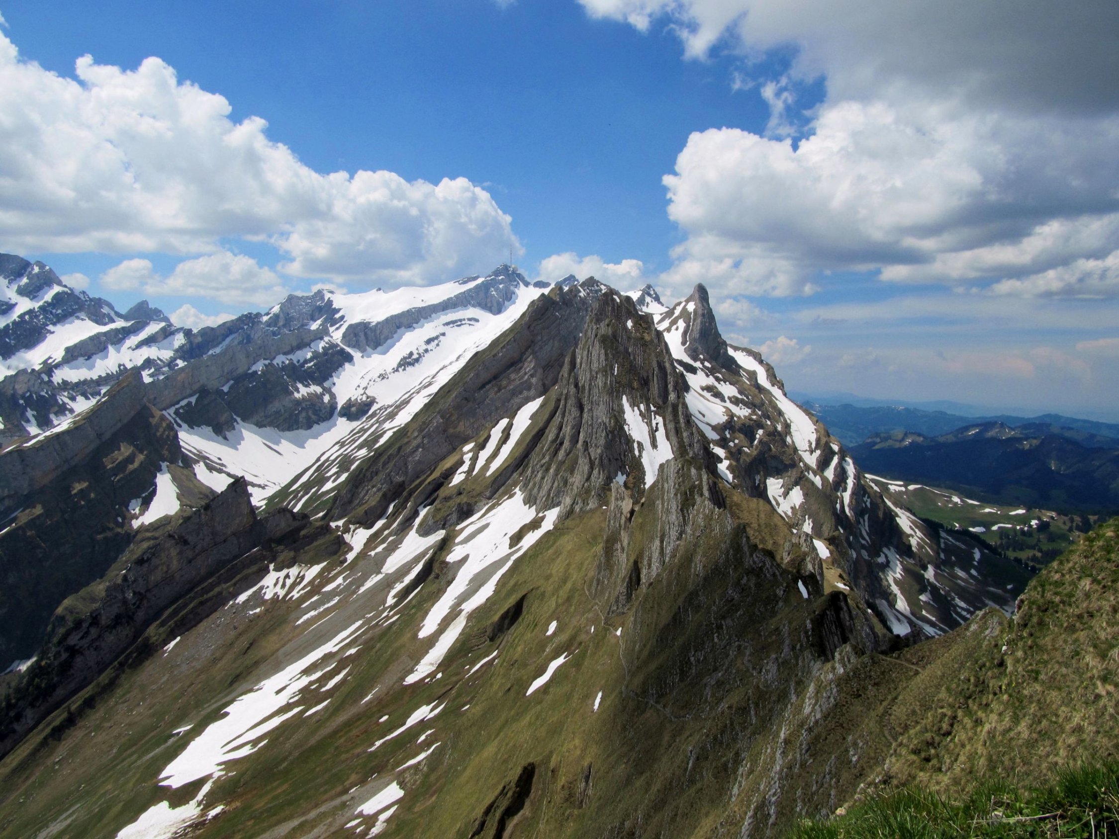 Schäfler (1925m) (1925m): Aktuelle Verhältnisse vom 03.06.2019 auf der ...