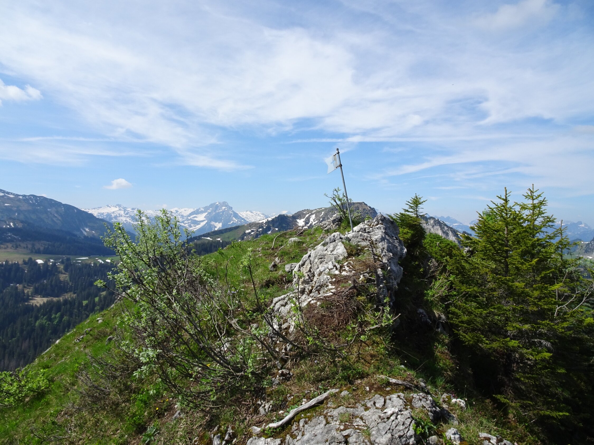 Vorder Goggeien, Goggeien (1655m) Aktuelle Verhältnisse vom 12.06.2021