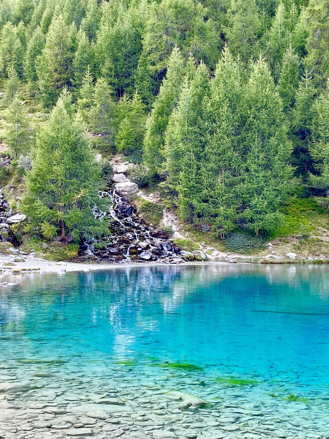 Mont de l\'Etoile (3370m) Aktuelle Verhältnisse vom 02.09.2023 auf der