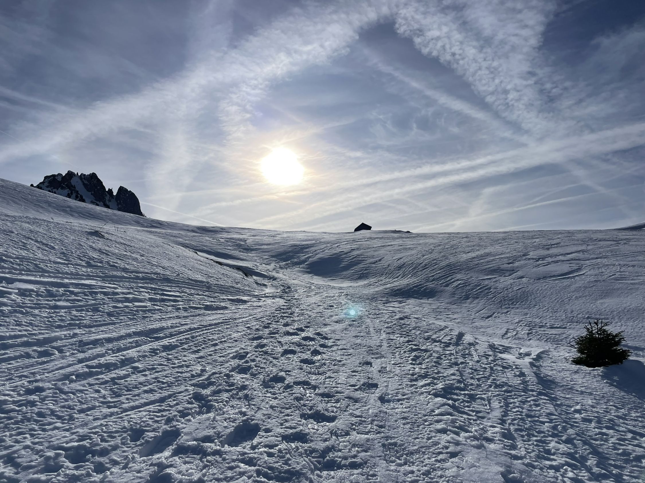 Niederhorn (Diemtigtal) (2077m) Aktuelle Verhältnisse vom 30.12.2023
