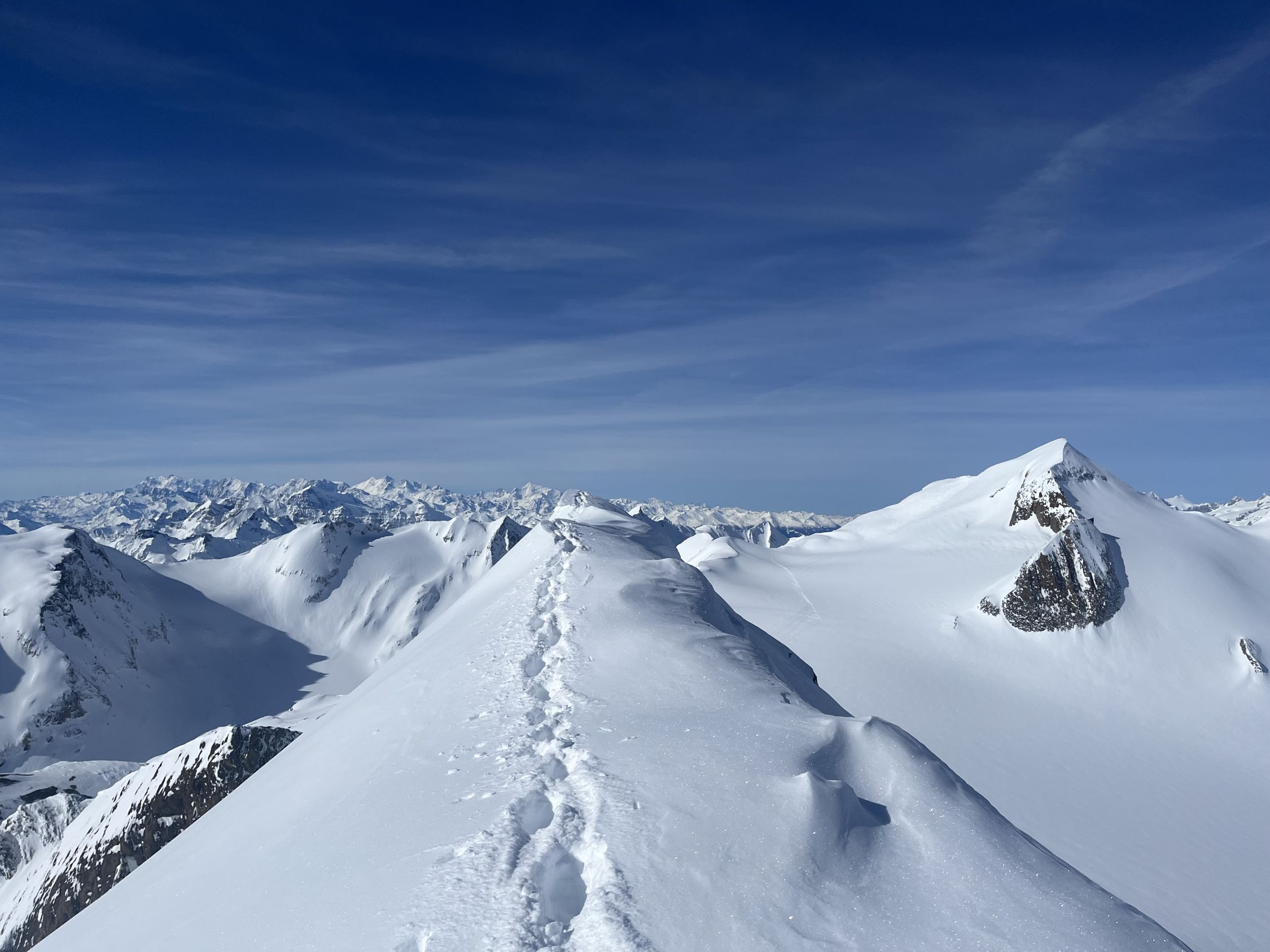 Corno Rosso (3289m) Aktuelle Verhältnisse vom 20.03.2024 auf der Route