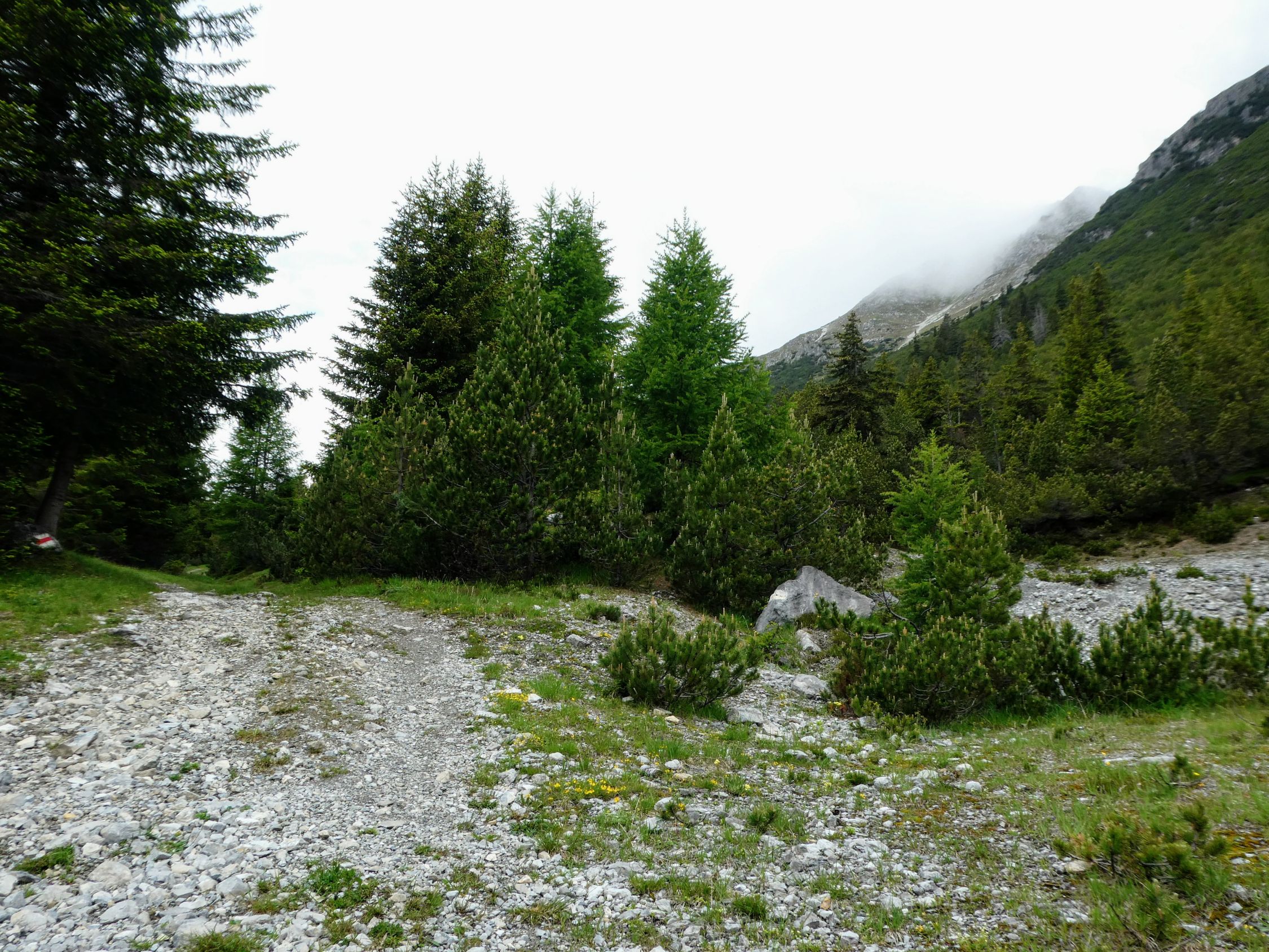 Piz Toissa (2657m) Aktuelle Verhältnisse vom 26.06.2024 auf der Route