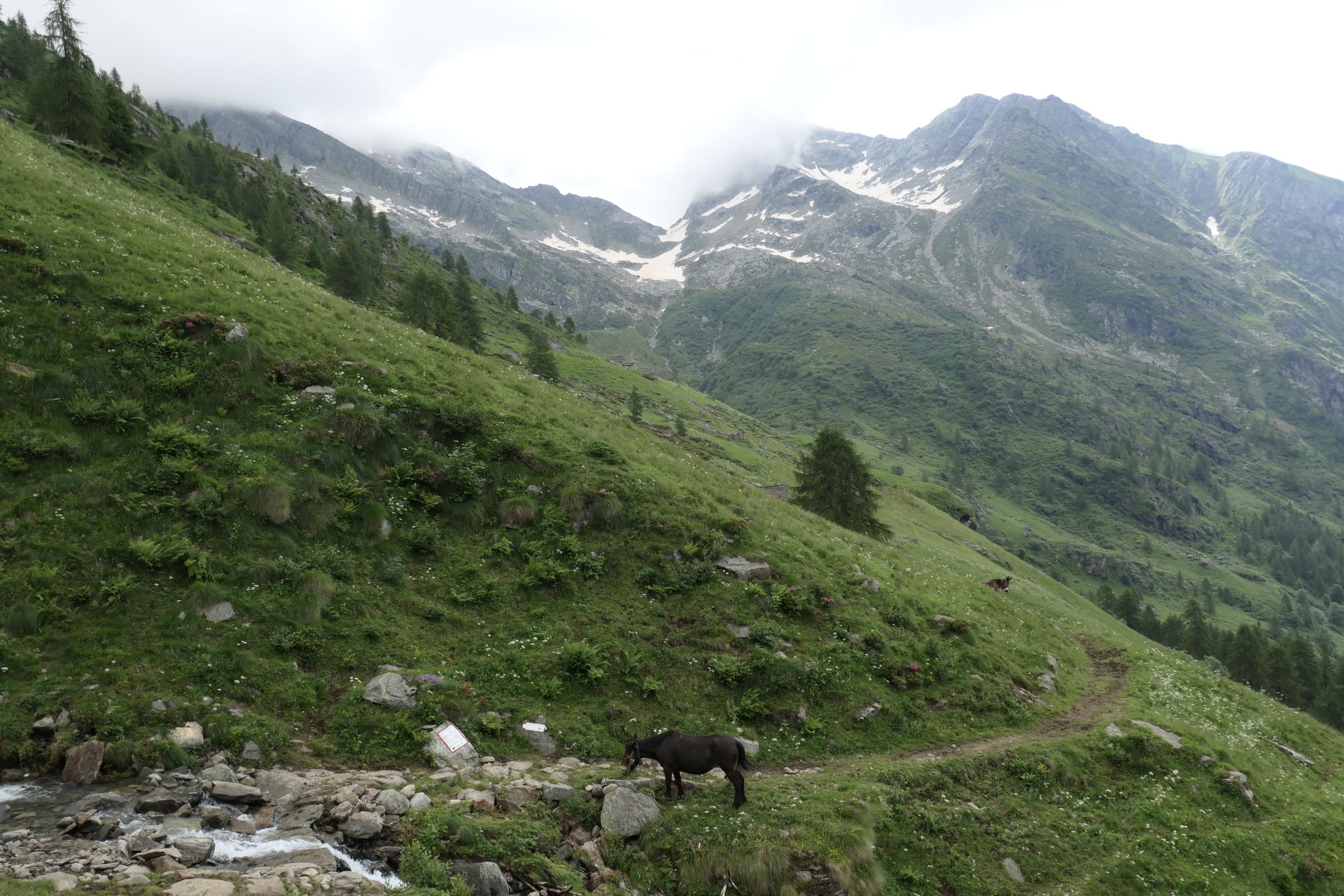 Colle del Turlo (2738m): Aktuelle Verhältnisse vom 10.07.2024 auf der ...