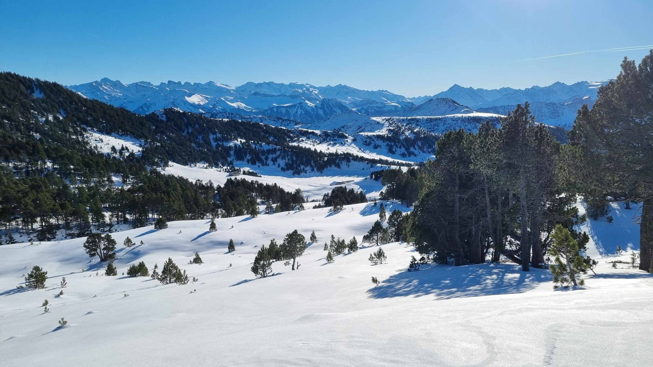 Fürstein Fürstein (2040m): Aktuelle Verhältnisse vom 29.12.2024 auf der Route ...