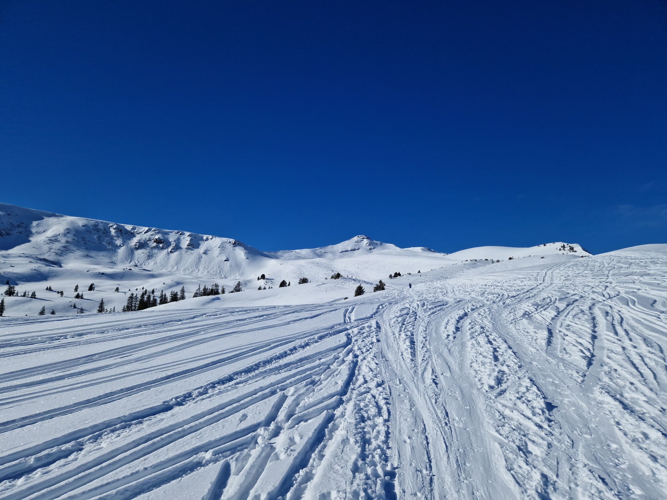 Vermol Hüenerchopf (2171m): Aktuelle Verhältnisse vom 18.02.2025 auf der Route ...