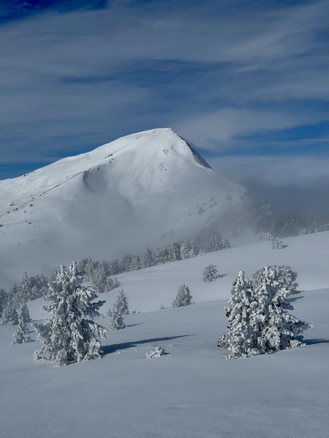 Fürstein Fürstein (2040m): Aktuelle Verhältnisse vom 15.03.2025 auf der Route ...