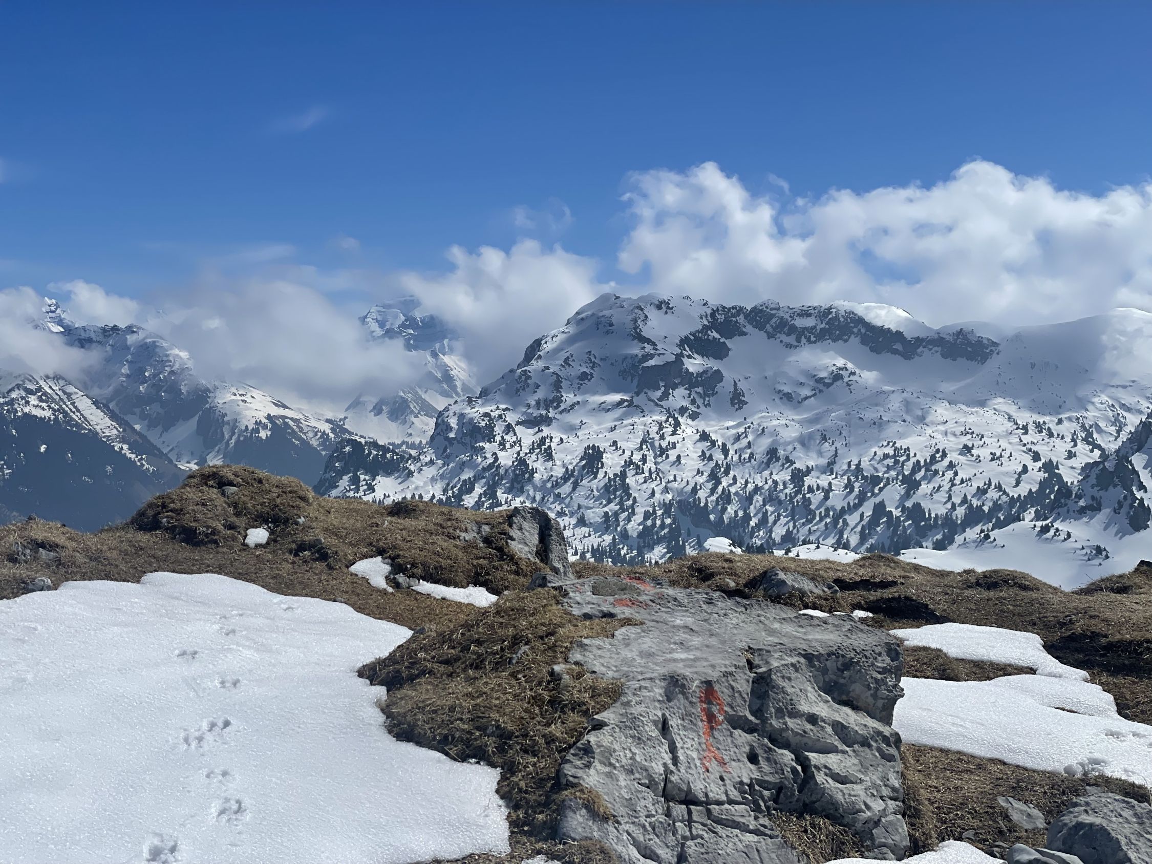 Niederhorn (Diemtigtal) (2077m) Aktuelle Verhältnisse vom 28.03.2025 auf der Route von